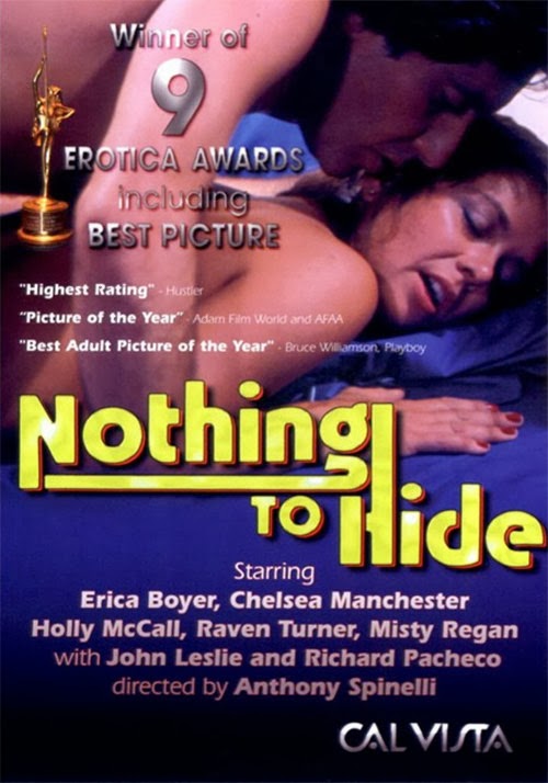 Nothing To Hide (1981) - original poster - vintagepornfun.com
