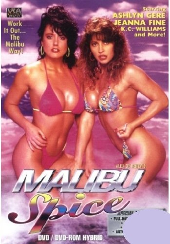 Malibu Spice (1992) - Original Poster - vintagepornfun.com