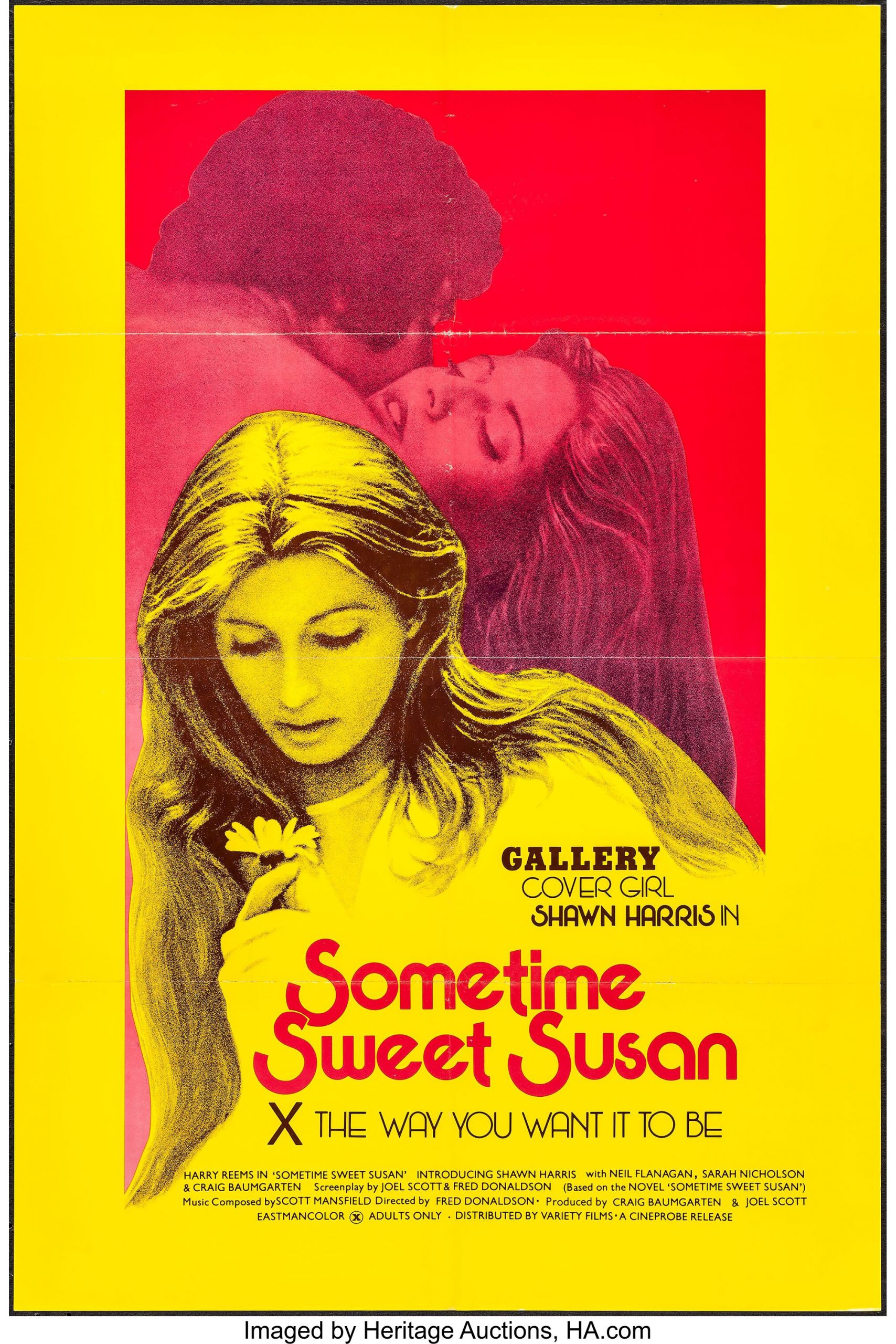 Sometime Sweet Susan (1975) - Original Poster - vintagepornfun.com