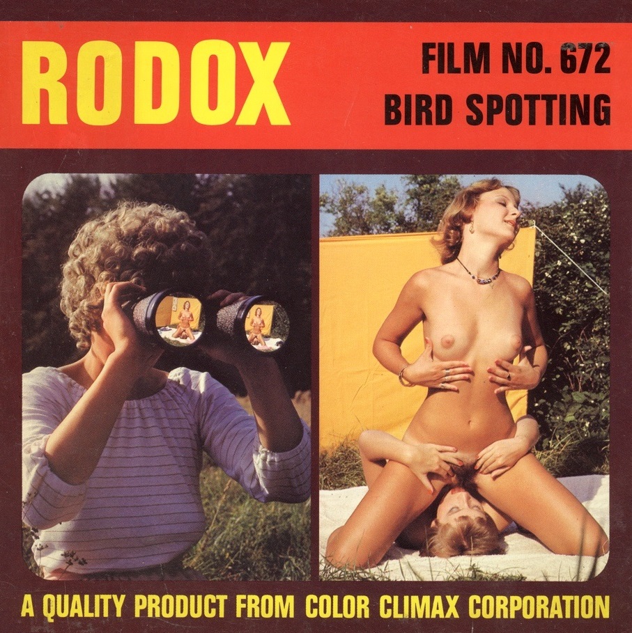 Color Climax: Rodox Film 672: Bird Spotting - Original Poster - vintagepornfun.com