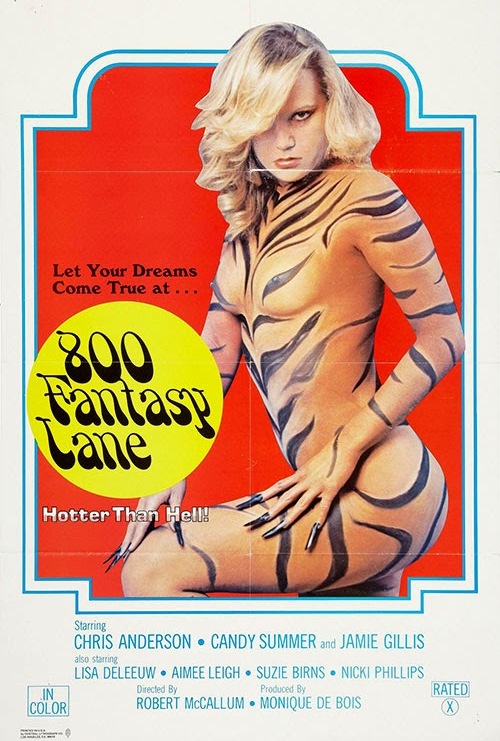 800 Fantasy Lane (1979) - Original Poster - vintagepornfun.com