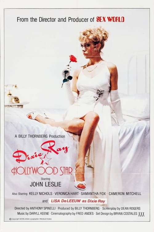 Dixie Ray: Hollywood Star (1982) - Original Poster - vintagepornfun.com