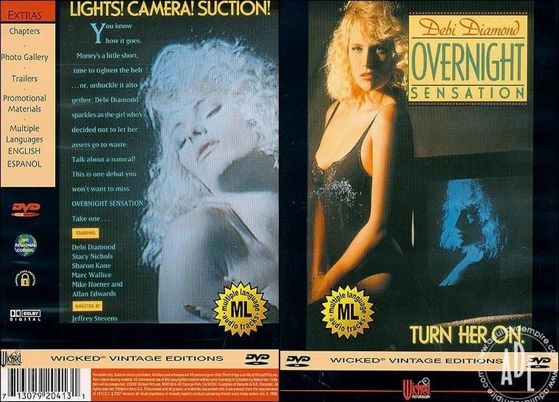 Overnight Sensation (1992) - Original Poster - vintagepornfun.com